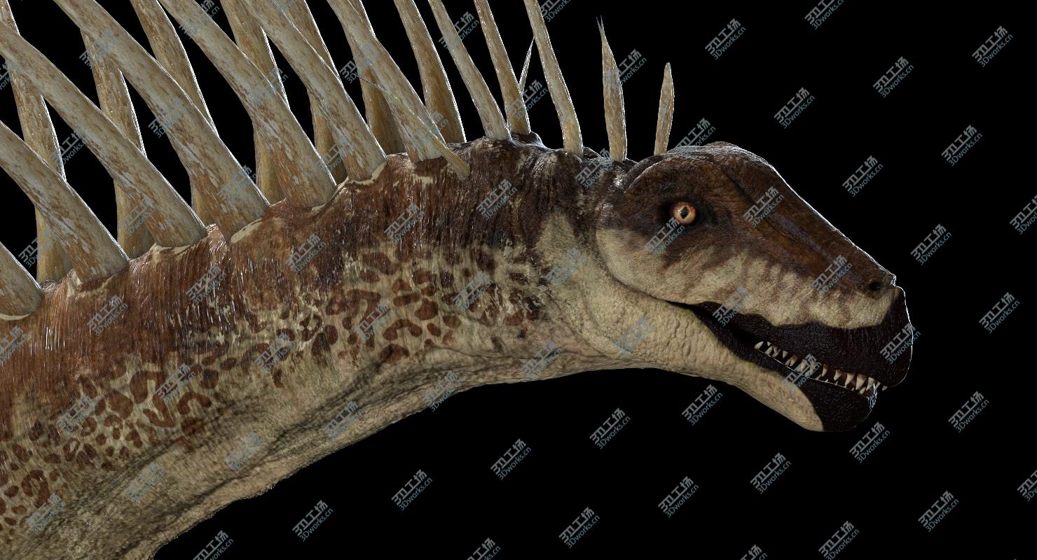 images/goods_img/202104022/Amargasaurus 3D (Rigged) model/5.jpg